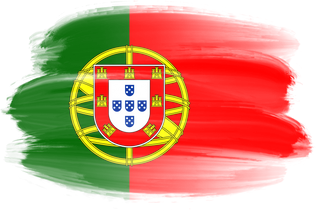 Portugal Brush Flag